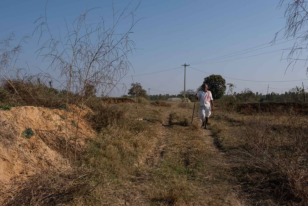 Man walking through field with dead grass and bushes in India