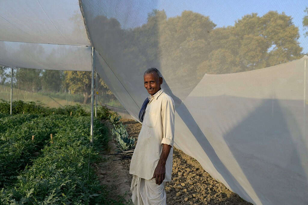 Farmer poses within a Kheyti greenhouse