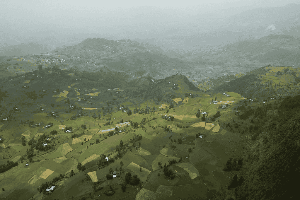 Lush, green mountain side