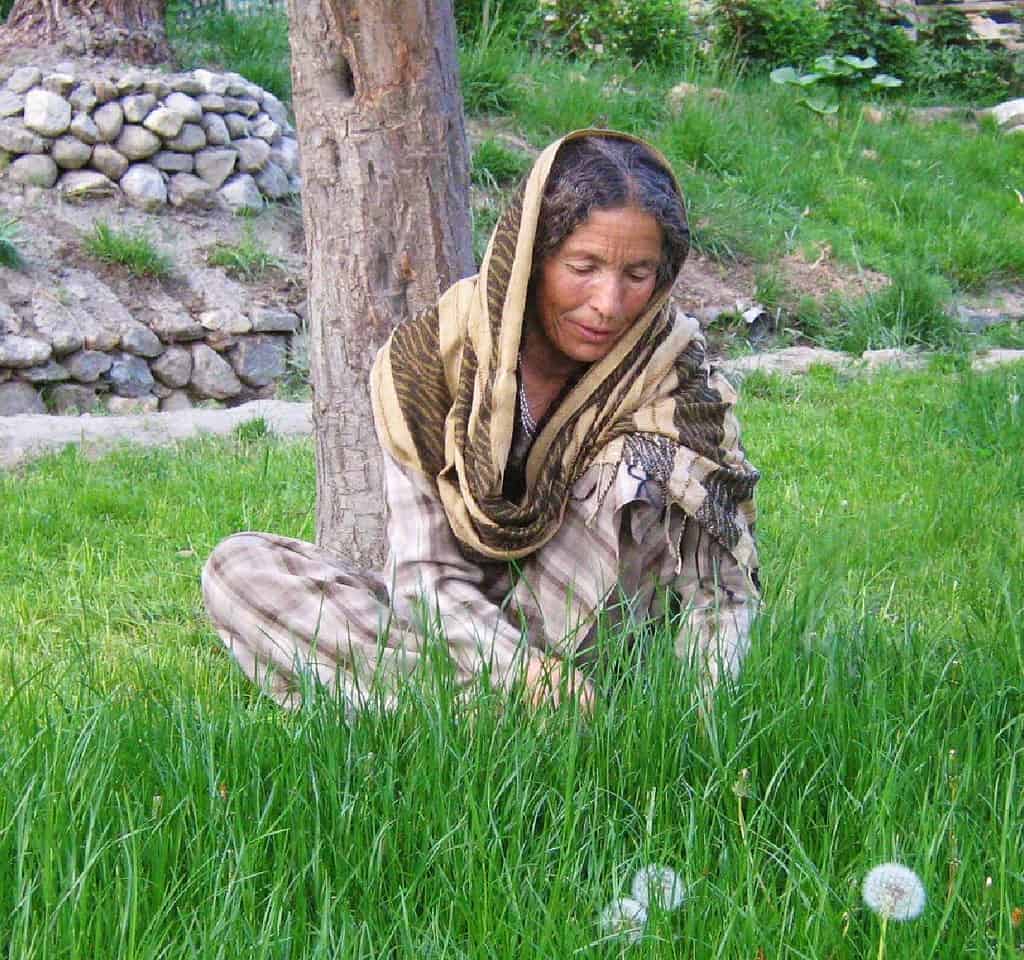 Woman sits underneath a tree in a Pakistani garden