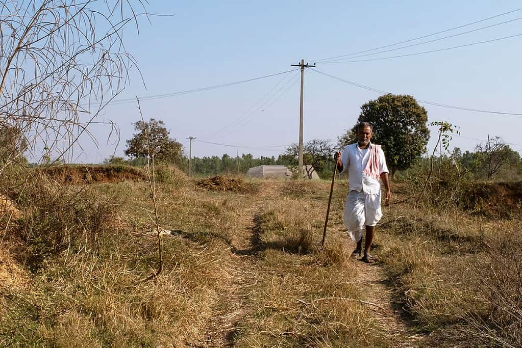 Man walking through field with dead grass and bushes in India