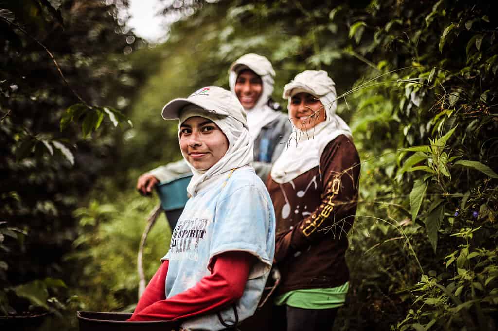 Three female farmers pose happily in a farm grove