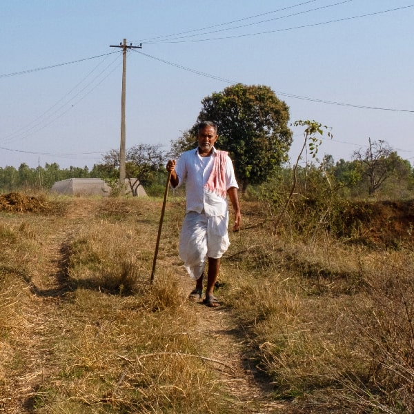 Man walking through field with dead grass and bushes in India