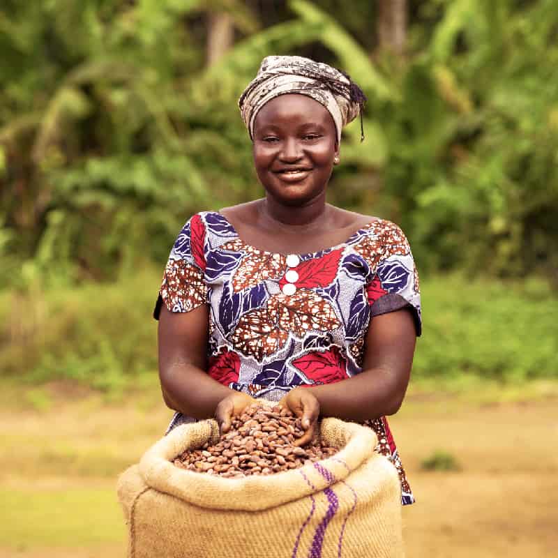 Woman grabs cocoa beans from a sack in a open field in Sierra Leone