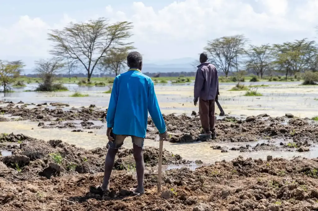 Two men walk across flooded field along Lake Naivasha, Kenya