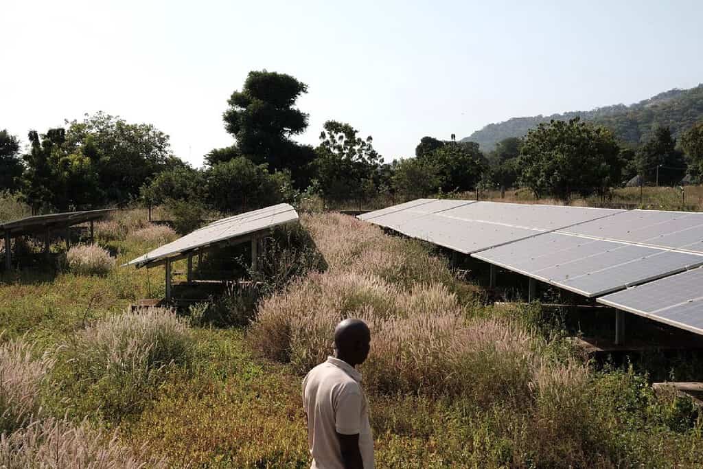 Man walks and stares at Solar Panel array on his farm
