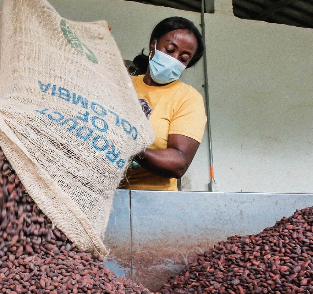 Woman pours sack of dried coffee beans into large bin for further processing at Colombian facility.