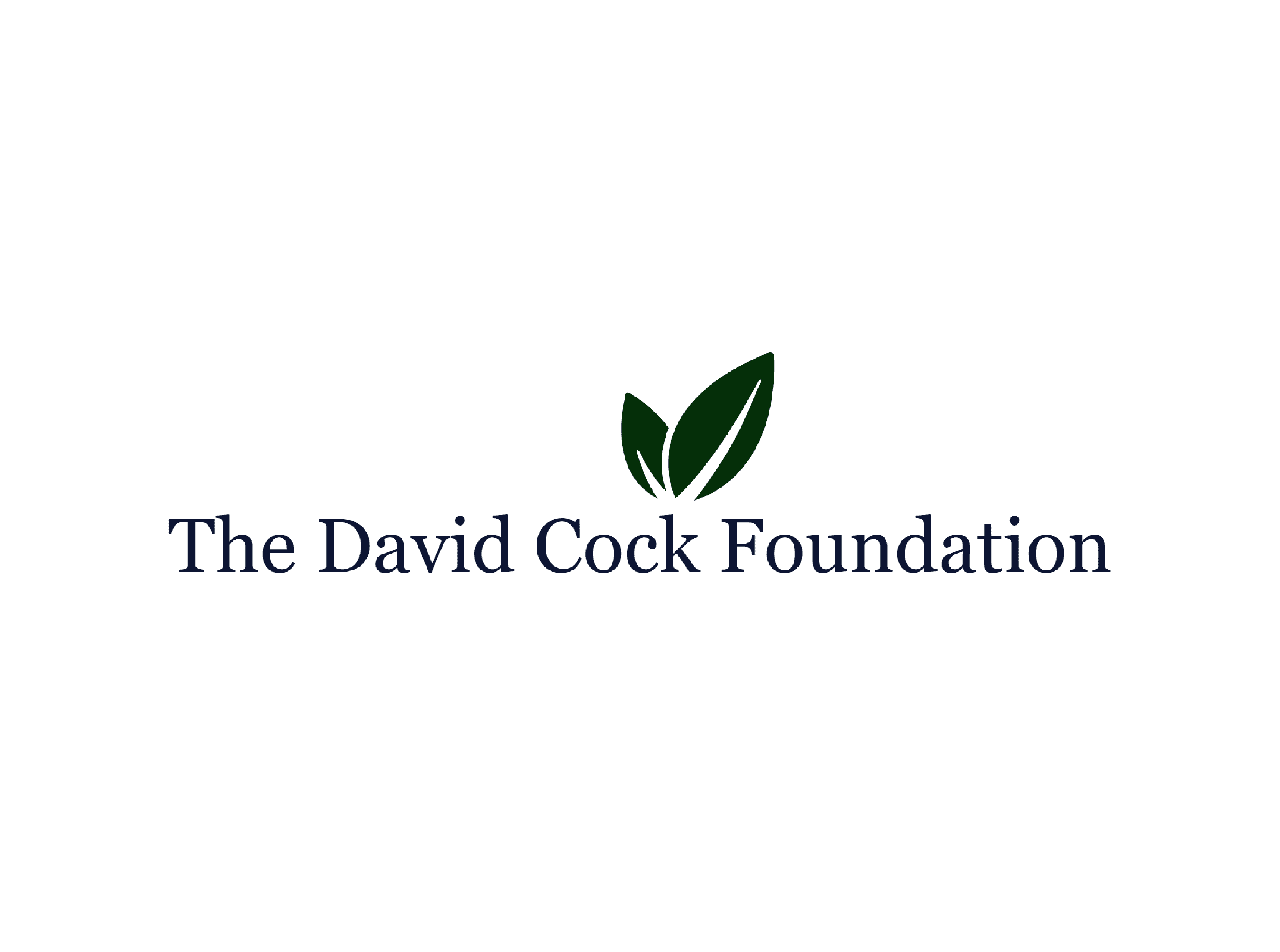The David Cock Foundation