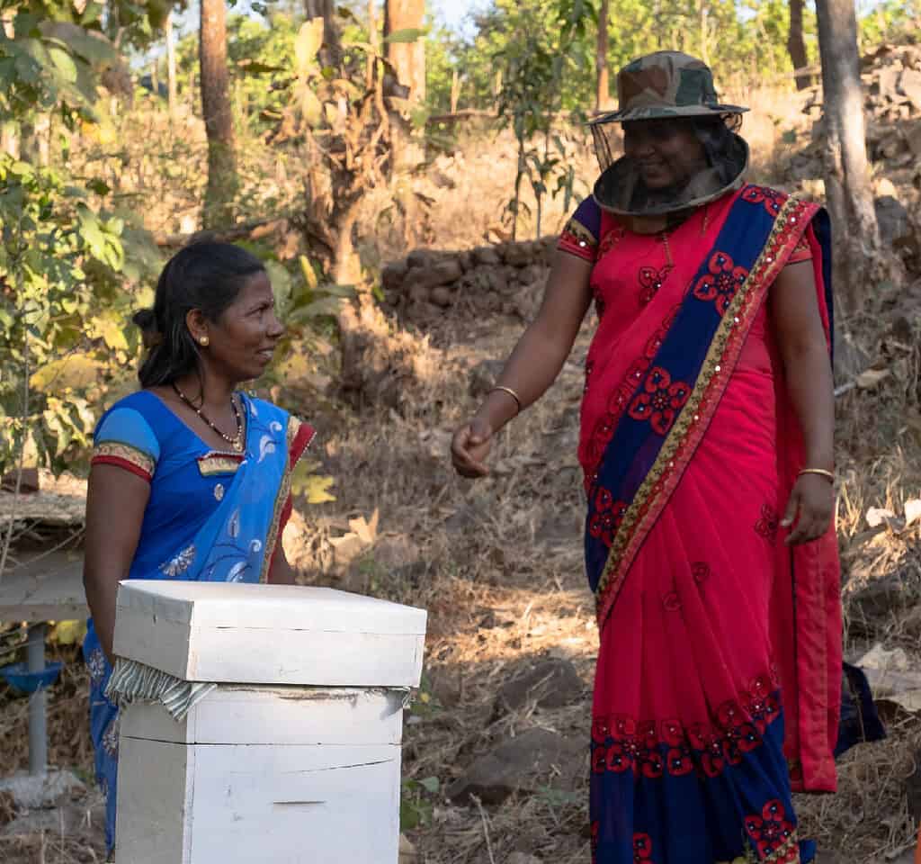 Two women talk while tending to active bee hives in India
