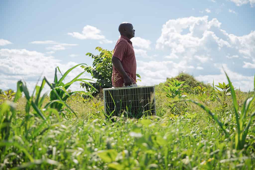 Man walks across field with solar panel; Photo courtesy of Tulima Solar