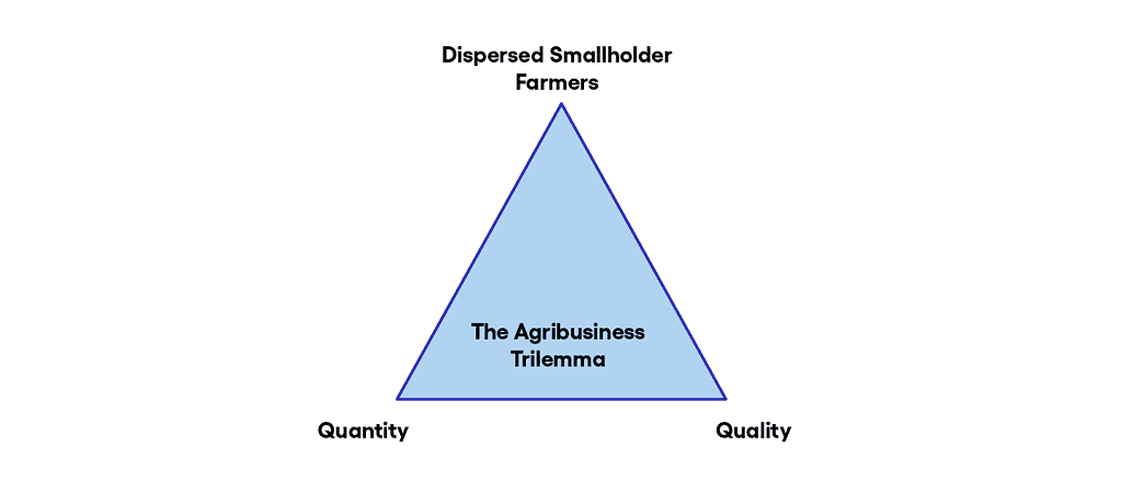 Graphic showing the Agribusiness Trilemma