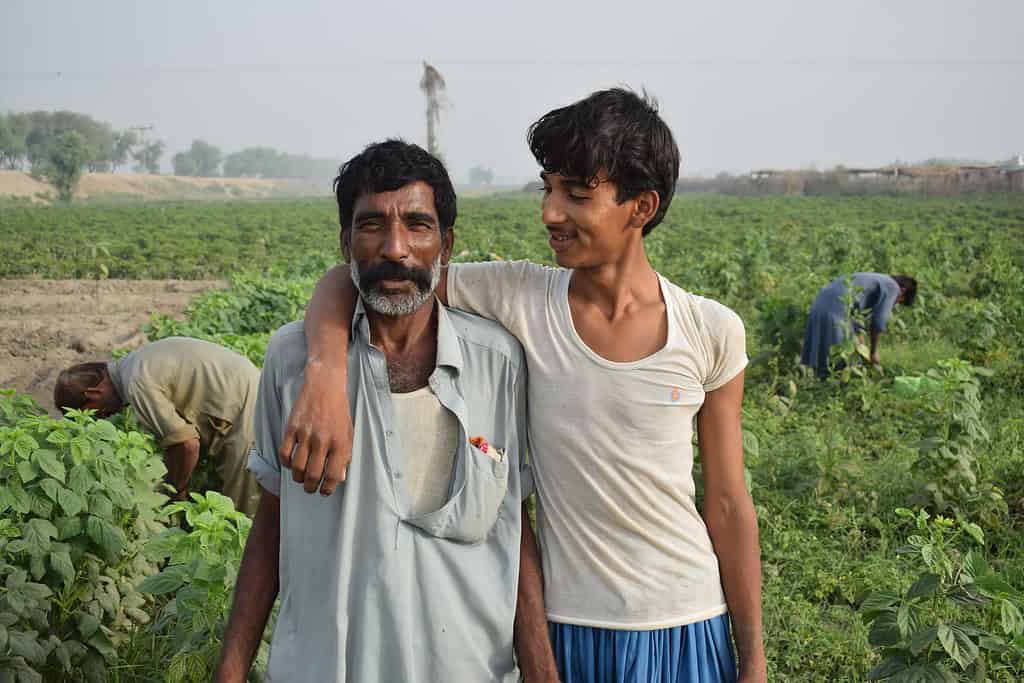 Two men smiling in a field