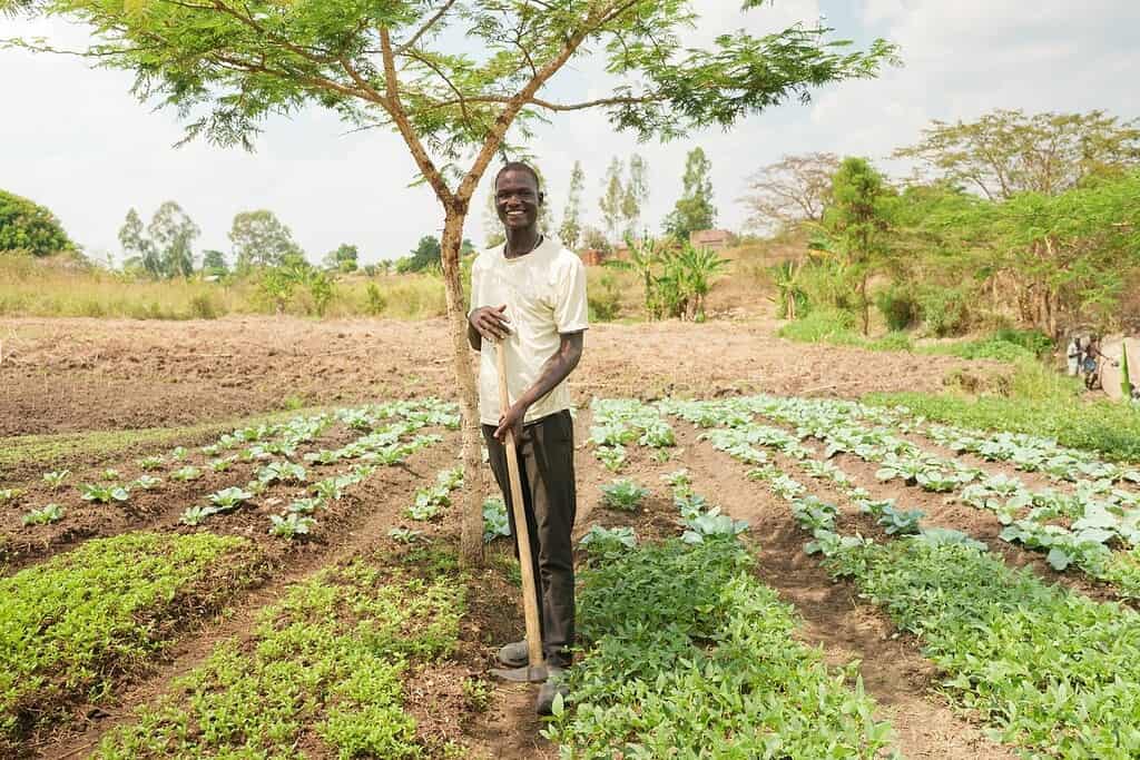 Man in field