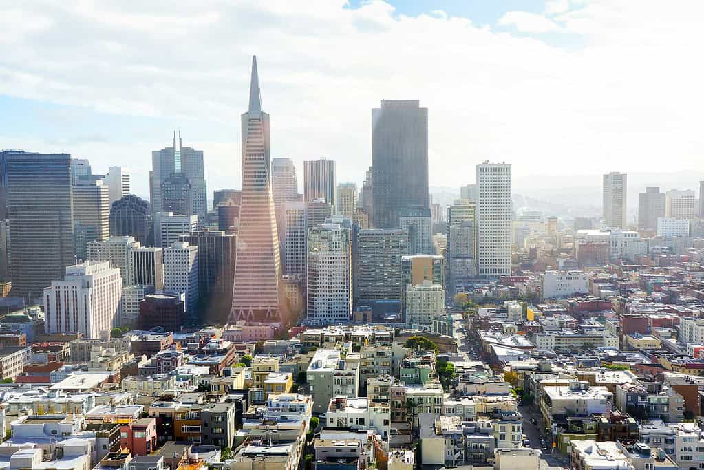The skyline of San Francisco on a sunny day.