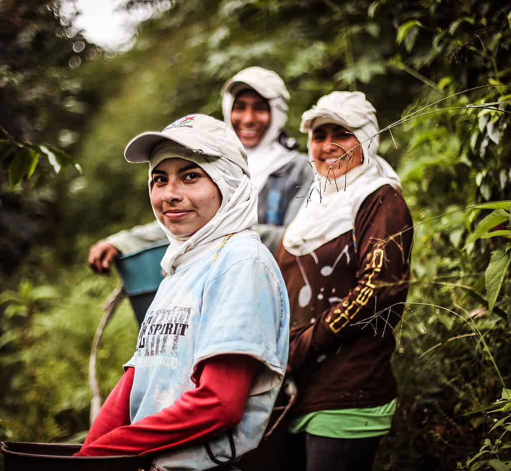 Three female farmers pose happily in a farm grove.