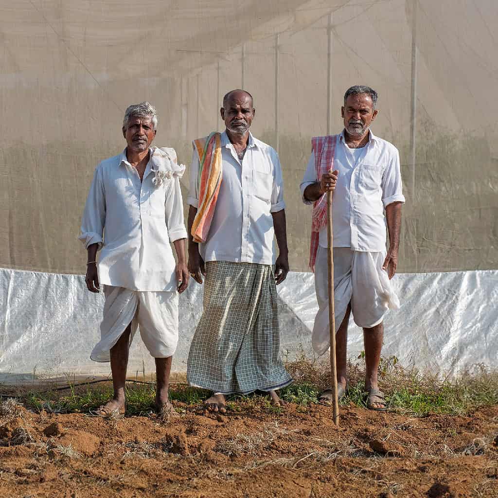 Three men in traditional attire stand outdoors in front of a netting, possibly farmers or workers.