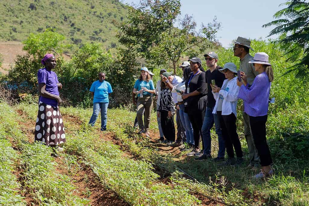 Group of investors listen to farmer explain farming operation on African farm