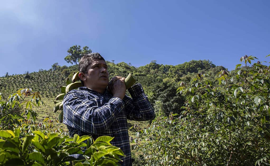 Acumen 2019 Annual Report - Read About Our Impact