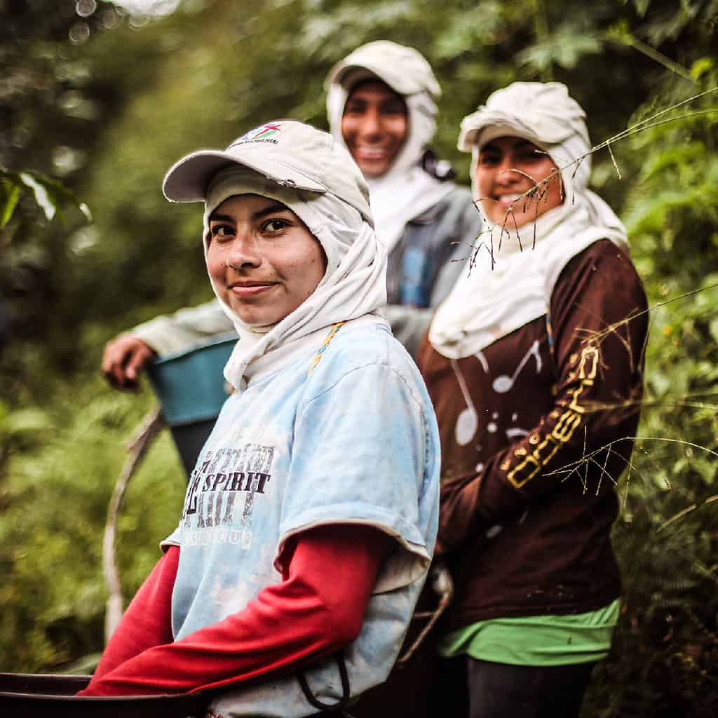 Three female farmers pose happily in a farm grove