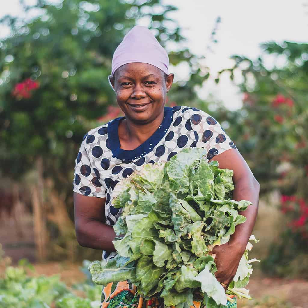 Women carries crops in a East African farm