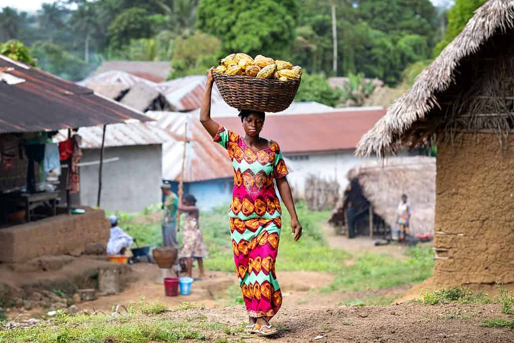 A person carries a basket of produce on their head in a rural village setting.
