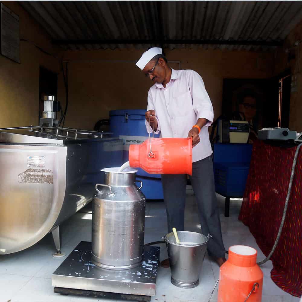 Man pours milk from small container to larger container in Indian dairy storage facility