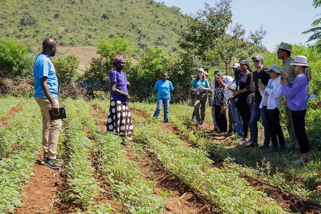 A group of investors listen to farmer on tour of farming investment