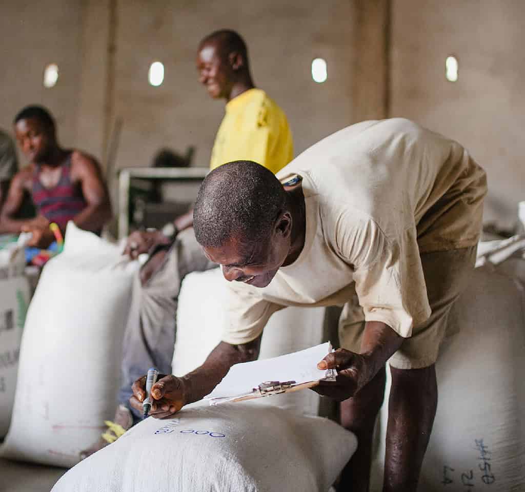 Workers in a processing warehouse cheerfully examine and mark sacks of grain