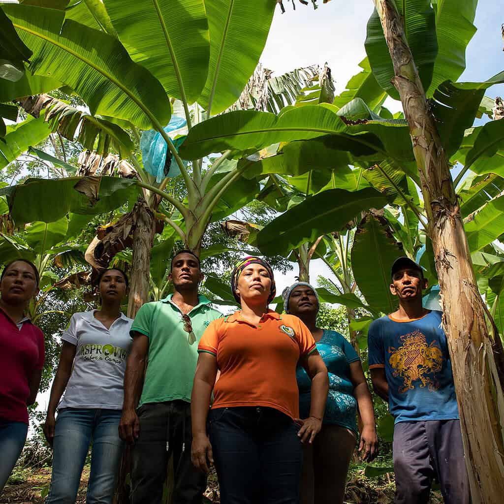 A group of people standing under banana trees, possibly farmers or workers.