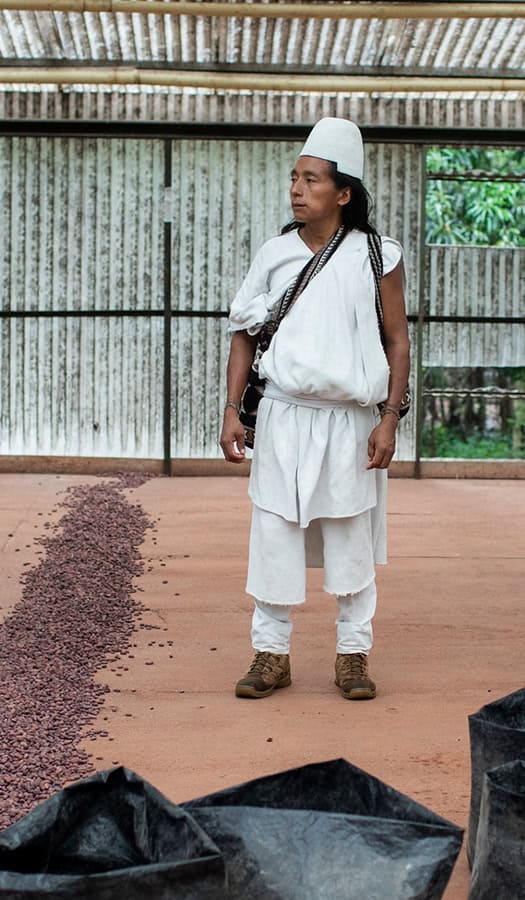 Indigenous farmers inspects cacao bean drying facility