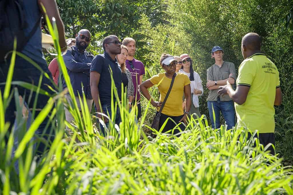 A group of investors tour and view a active investment in West Africa
