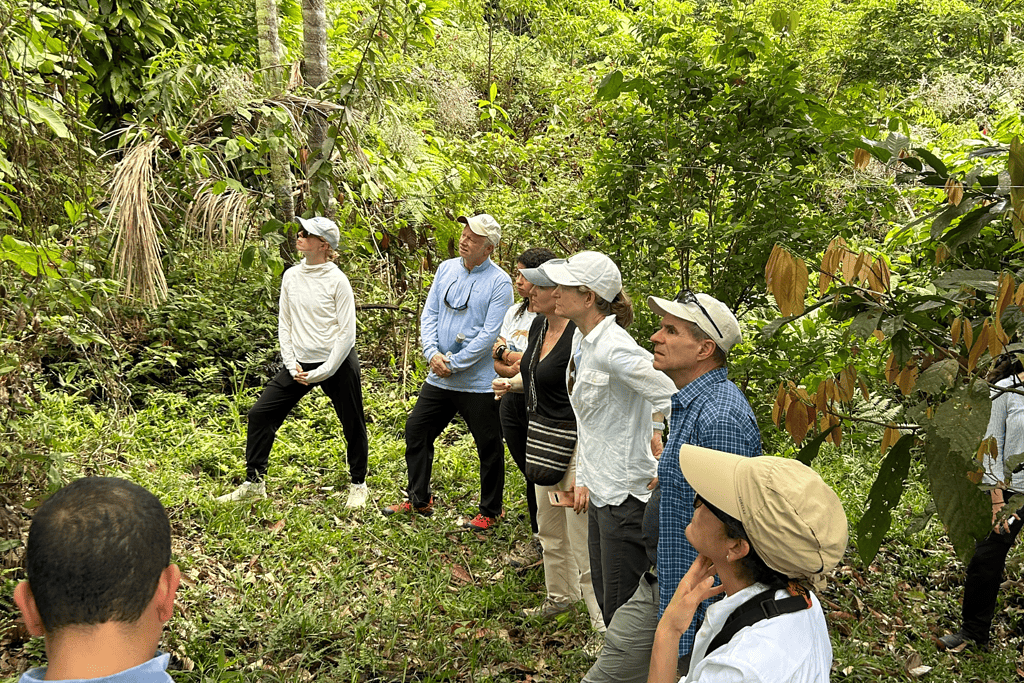 People gathered in Colombia forest