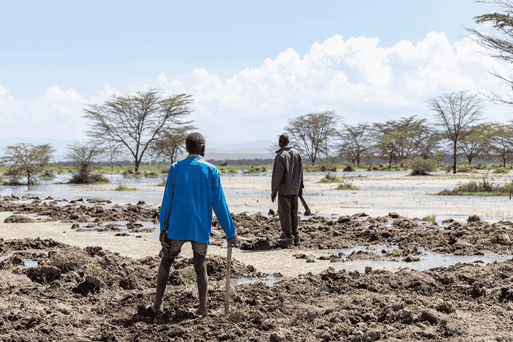 Two people stand in a muddy field with scattered trees under a bright sky.