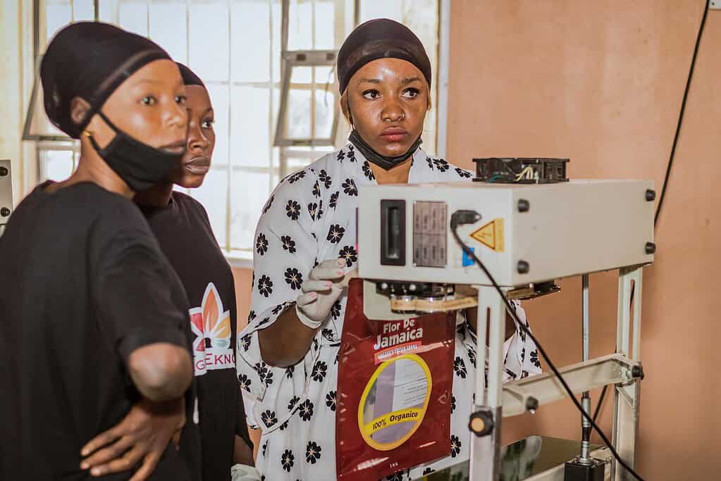 Workers pack hibiscus into packaging. Photo courtesy of AgroEknor