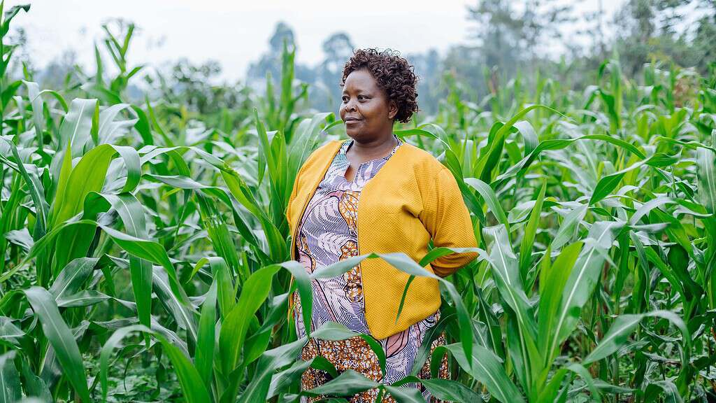 Smallholder farmer in Kenya. Photo courtesy of Juhudi Kilimo and Peter Irungu.